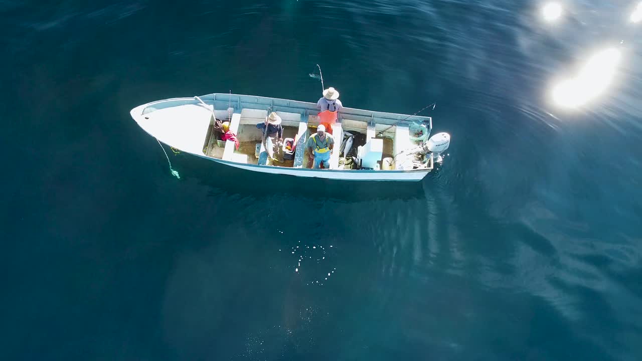 Aerial high angle of gaffer pulling fish aboard and reeling in ...