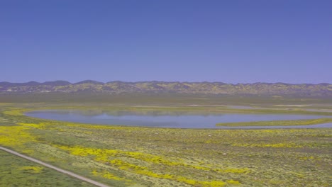 Aerial-Pan-Left-Shot-of-Carrizo-Plain-and-Soda-Lake-in-California-During-the-Wildflower-Superbloom