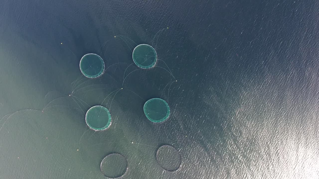 아이슬란드에서 시망 수산업의 드론 촬영.