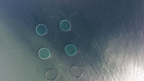 Aerial-drone-shot-of-fishnets-aquafarming-in-Iceland.
