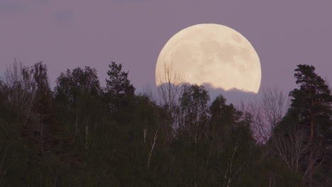 Zoom-De-Luna-Llena:-La-Luna-Llena-Se-Eleva-Sobre-Un-Bosque,-Suecia