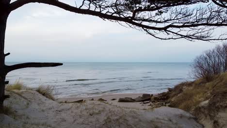 aerial view of baltic sea coastline at bernati beach in latvia, flying forward trough tight coastal pines over white sand beach, wide angle establishing drone shot