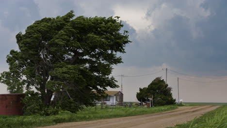 stormy rural landscape with strong wind