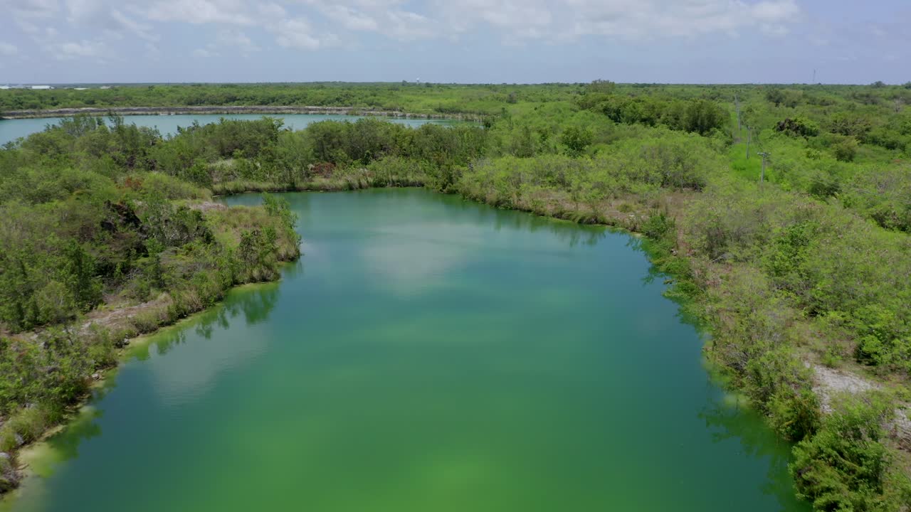 vuelo majestuoso sobre cap cana tranquila laguna verde por bosque de árboles y vegetación en el día azul del cielo soleado, república dominicana, enfoque aéreo superior