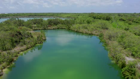 Vuelo-Majestuoso-Sobre-Cap-Cana-Tranquila-Laguna-Verde-Por-Bosque-De-árboles-Y-Vegetación-En-El-Día-Azul-Del-Cielo-Soleado,-República-Dominicana,-Enfoque-Aéreo-Superior