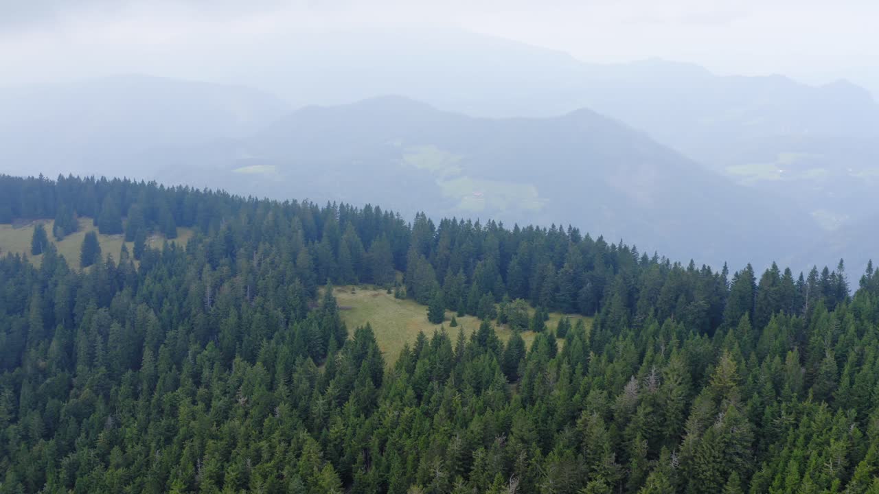 bosque verde denso con capas de montañas en el fondo