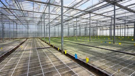 Tecnología-Holandesa-De-Invernaderos:-Transformación-De-Viveros-Con-Ambientes-Cálidos-De-Vidrio-Para-Prácticas-Hortícolas-Y-Agrícolas-Innovadoras