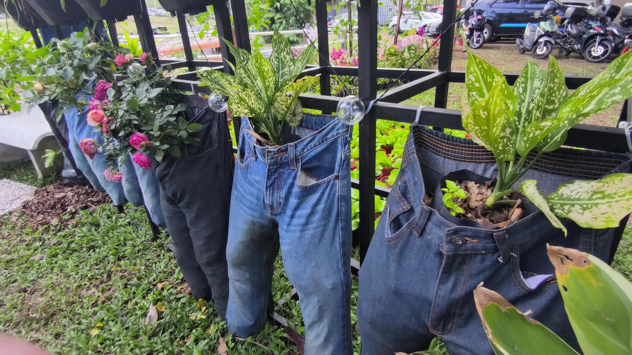 I jeans di denim riciclati sono usati in modo creativo come vasi da fiori unici. Le gambe sono cucite per contenere il terriccio, mentre fioriture colorate spuntano dalla vita per creare un arredamento da giardino durevole e accattivante.