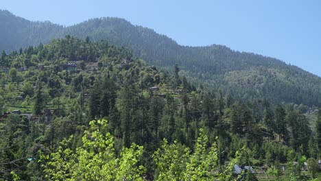 plants, houses and natural diversity of the mountainous region.