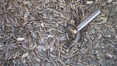 sunflower seeds