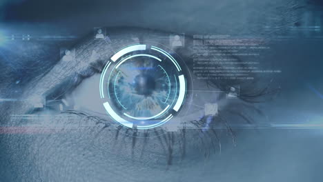procesamiento de datos y ojo humano