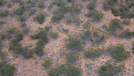 beautiful australian outback in a slow moving aerial