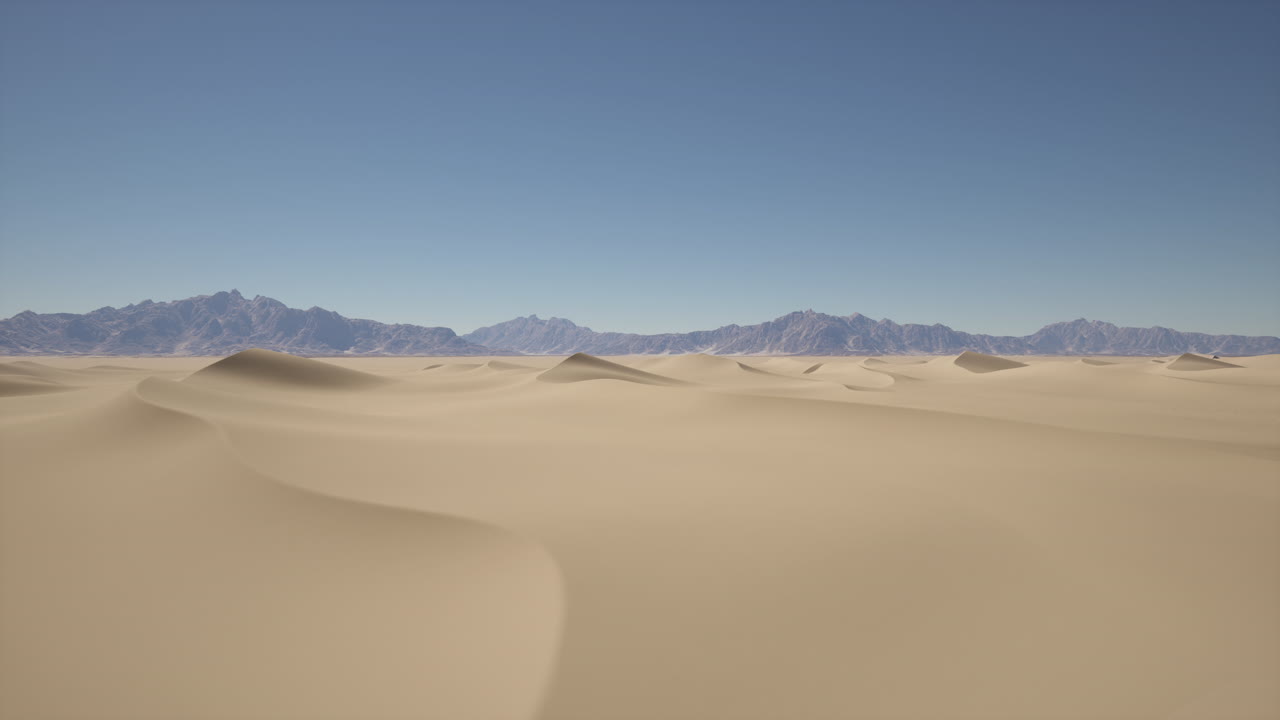 광활한 사막 풍경