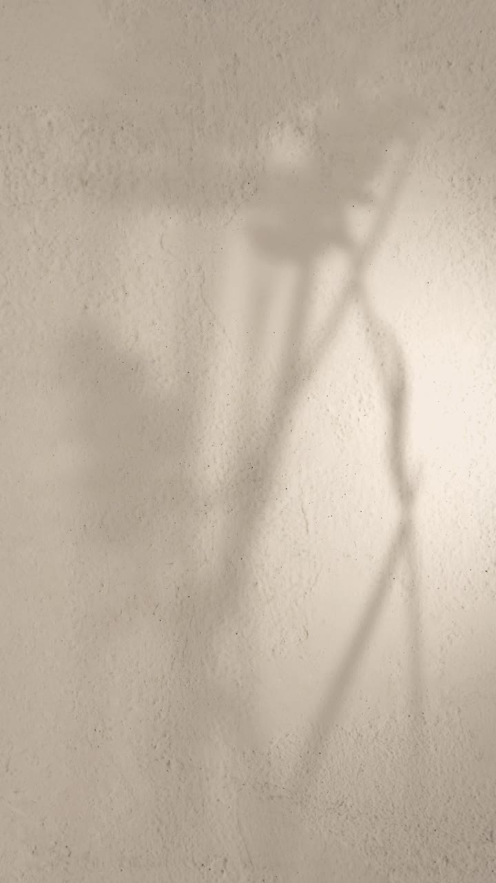 Gentle Movement of Plant Shadows on a Textured Wall
