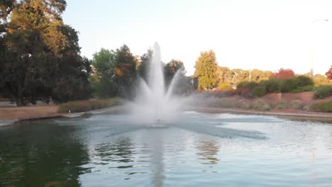 fountain-in-a-pond-surrounded-by-oak-trees