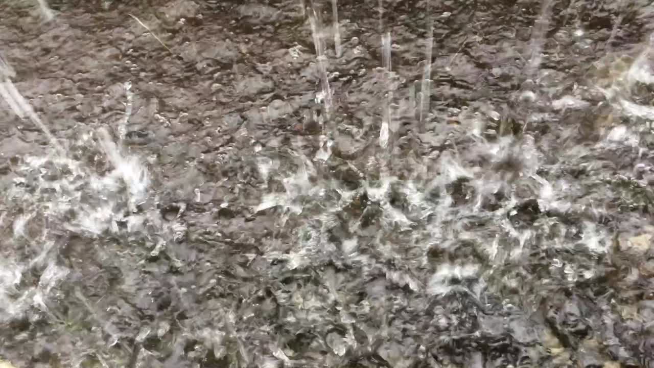 dzuhur 후 비 상황 사무실 hasanuddin 국제 공항 주변기도