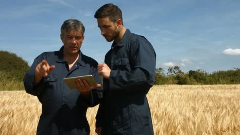 agricultores que comprueban los cultivos con una tableta