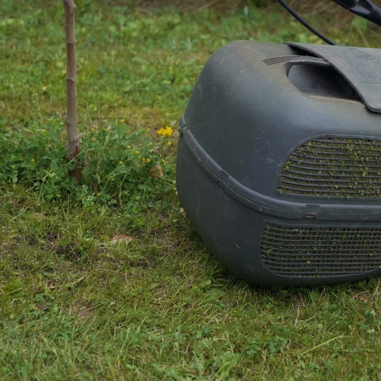 Cutting fresh green grass with lawn mower. Barefoot young girl mowing grass with a lawn mower in garden
