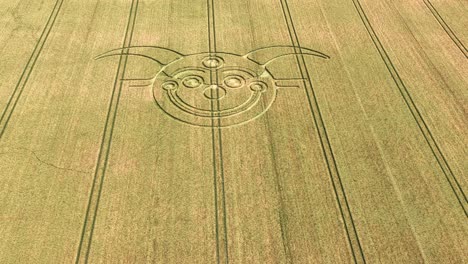golden wheat farmland aerial view overlooking smiling clown face stonehenge crop circle meadow