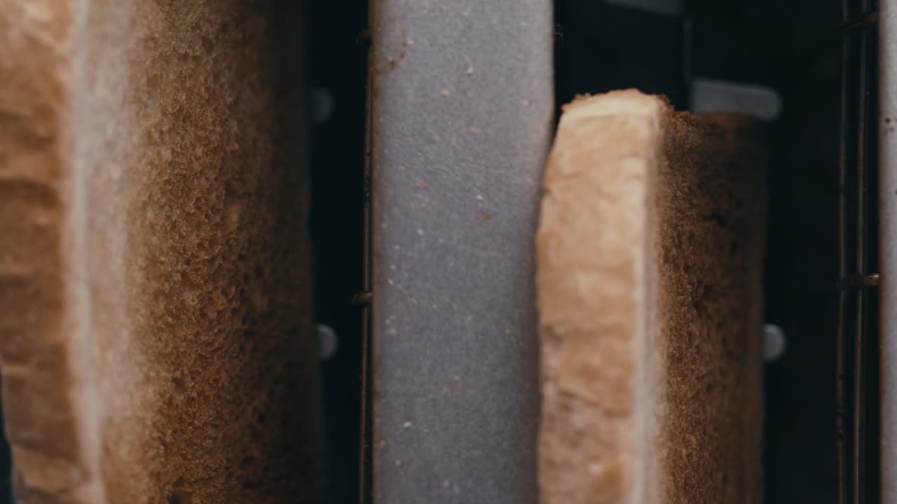 Extreme Close-Up of Toaster Popping Up Browned Bread Slices