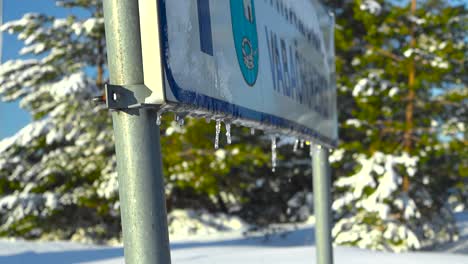 snow and ice melting and dripping from ice peaks that are attached under a traffic sign during a winter sunny day with white fluffy snow covered trees in the background with blue sky. slow motion.