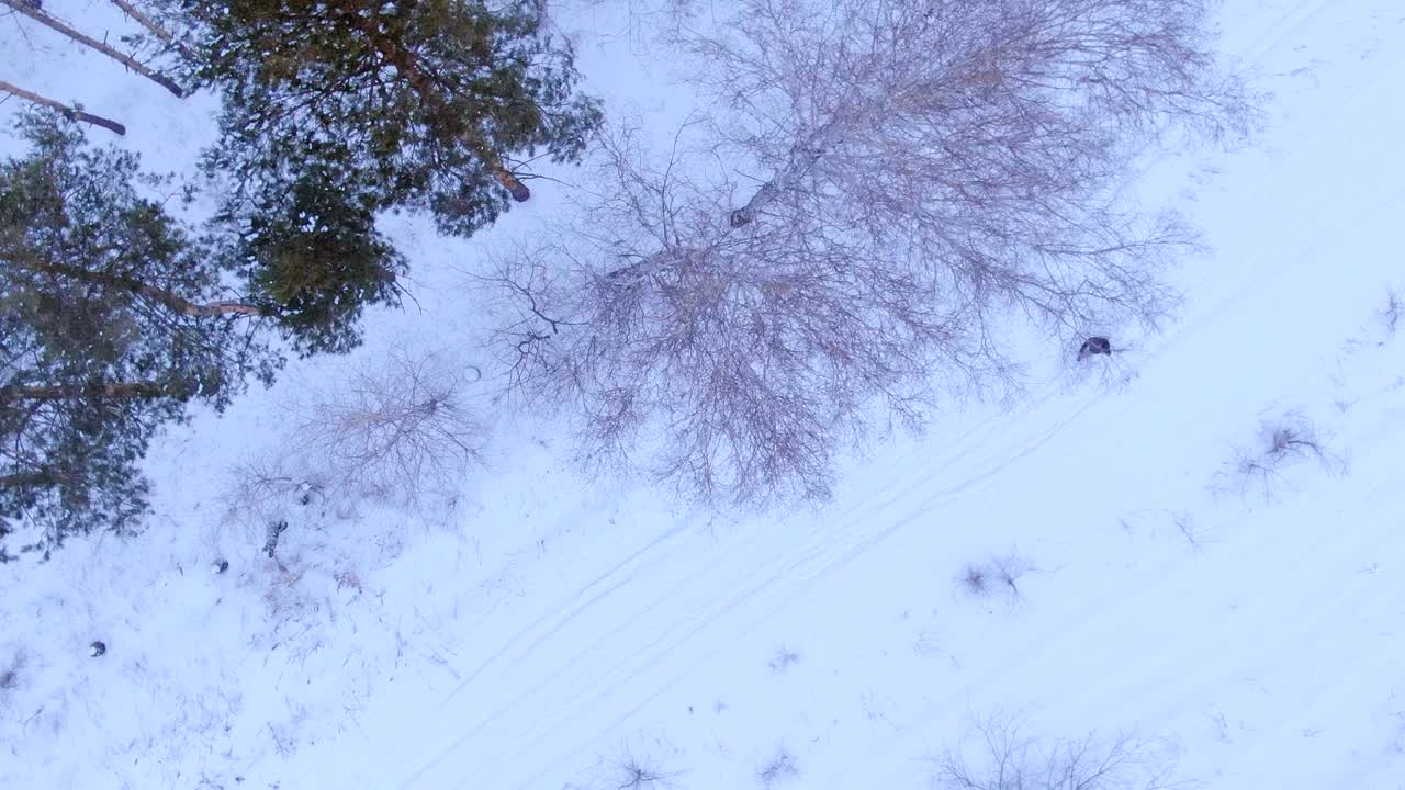 한 남자가 숲 근처의 겨울 눈 인 길을 고 있다. 터의 원형 스. 카메라의 공중 뷰.