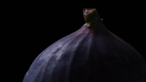 close up a fig with a dark background