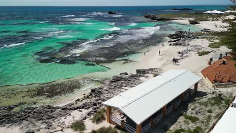 Aérea-Sobre-La-Isla-Rottnest,-Costas-Arenosas-Acariciadas-Suavemente-Por-Las-Aguas-Cristalinas-Del-Océano-Índico,-La-Bahía-De-Largo-Alcance-Ofrece-Un-Remanso-De-Belleza-Natural-Y-Tranquilidad.