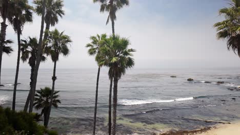 Hermosa-Playa-De-La-Costa-De-California-Con-Palmeras---4k-Calificada