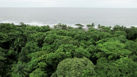 pacific ocean beyond lush tropical jungle rainforest in costa rica