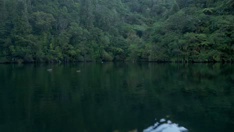 A-drone-shot-above-a-hillside-lake-covered-in-dark-lush-green-trees