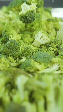 groene bladbroccoli stukken klaar om als ingrediënt te consumeren