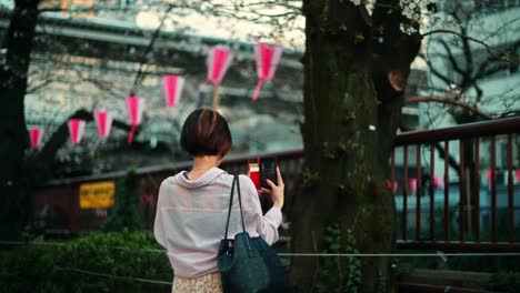 woman taking a photo of cherry blossoms in japan