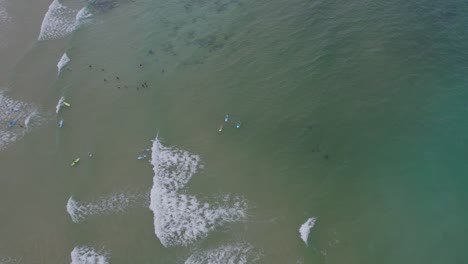 Surfistas-Y-Bañistas-En-La-Playa-De-Hastings-Point,-Nueva-Gales-Del-Sur,-Australia