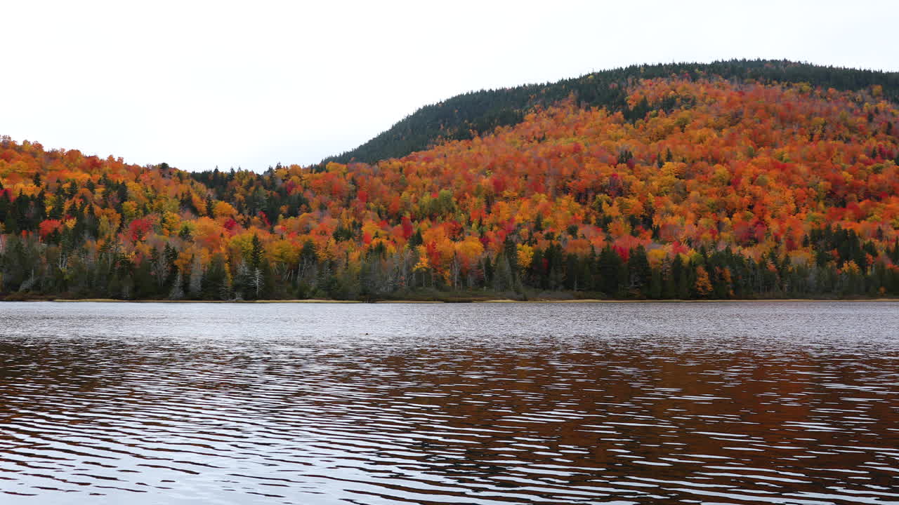 가을 호수의 아름다운 패닝 샷