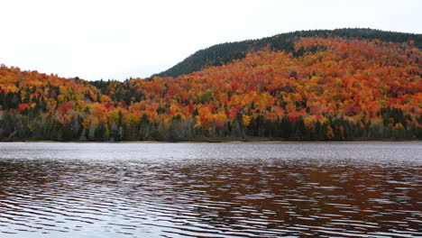 beautiful panning shot of a lake in the fall
