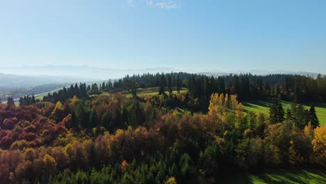 Idyllic-autumn-forest-on-hill-with-many-colourful-trees,-aerial-view