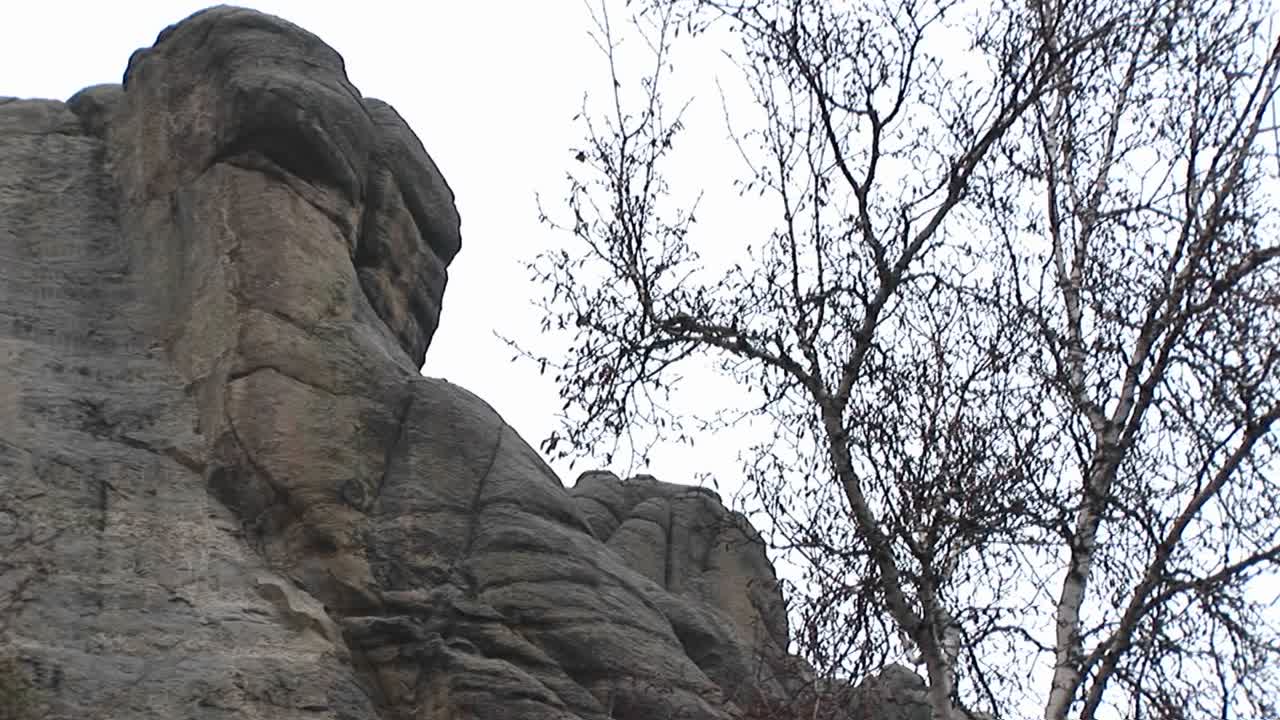 rostros de presidentes famosos adornan el monte rushmore