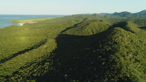 avance aéreo sobre el bosque cerca de la playa popa