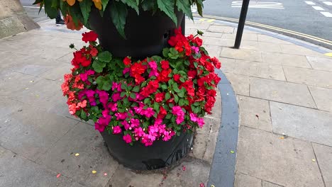 two people walking past flower displays