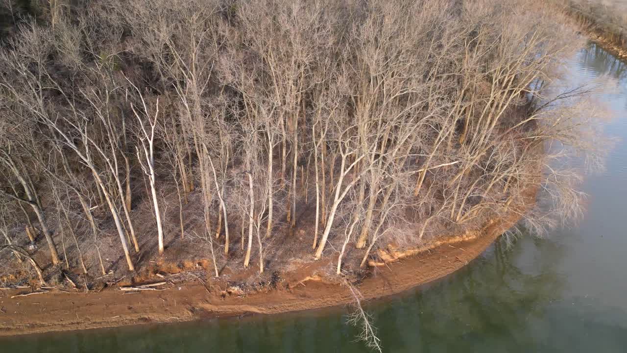 강둑에 죽은 나무의 조감도