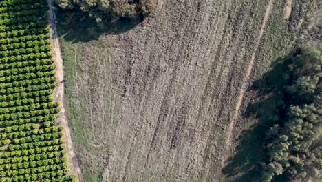 Videos-De-Drones-De-4k-Del-Estanque-De-Invierno-De-Rehovot,-La-Vida-Aislada-De-La-Temporada-De-Lluvias,-Antes-De-La-Inundación,-Rehovot-Israel