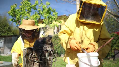 an elderly beekeeper couple using bee smoker and oxalic acid syringe in the bee hive