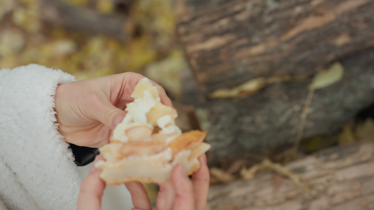 torta de outono ao ar livre em tronco, mãos em jaqueta felpuda quebrando a crosta morna de um prato de cerâmica, fatia levantada mostrando recheio macio e creme, folhas amarelas caídas e fundo de madeira rústica, colheita aconchegante