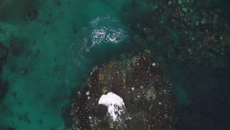 Birdseye-Aerial-View,-Great-Barrier-Coral-Reef,-Queensland,-Australia