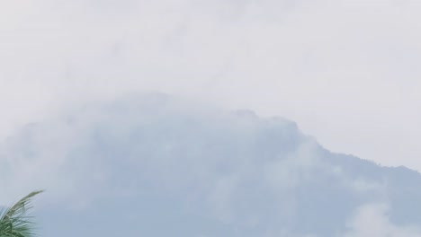 zooming out of scenic view of a mountain covered with thick fog, with the tips of a coconut tree on the left side of the frame in a countryside in thailand