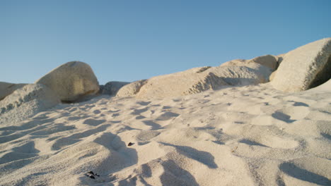 closeup of an active and healthy woman running