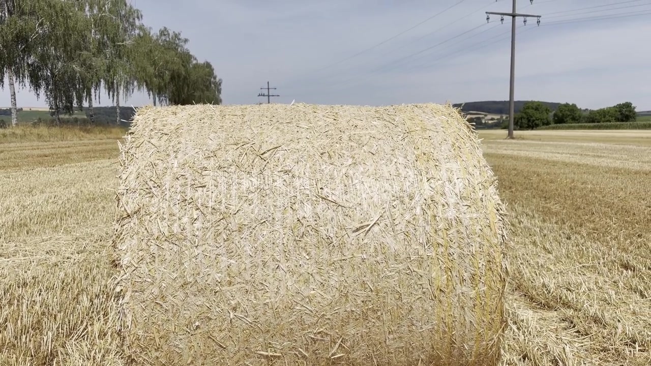 Een langzame tilt omhoog volgt de voorkant van een ronde strobaal en onthult een geoogst landelijk landschap met extra balen in de verte. Tilt-up opname.