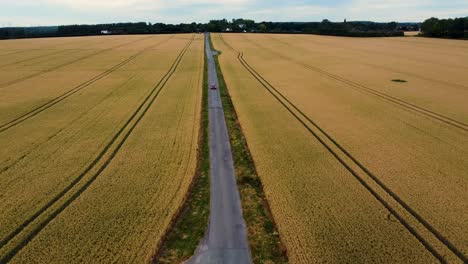 a red car driving along an idyllic english country road