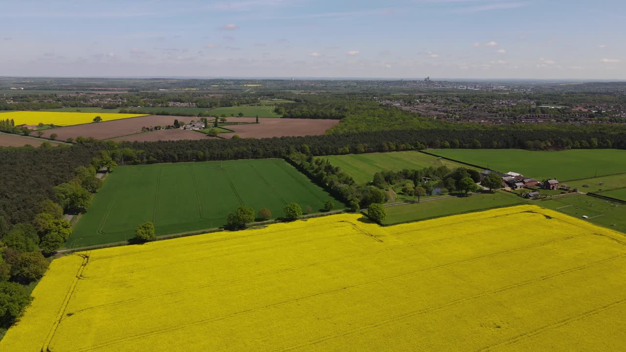 Aerial footage looking over the Lincolnshire Countryside with views across fields of oil seed rape or rape oil crop
